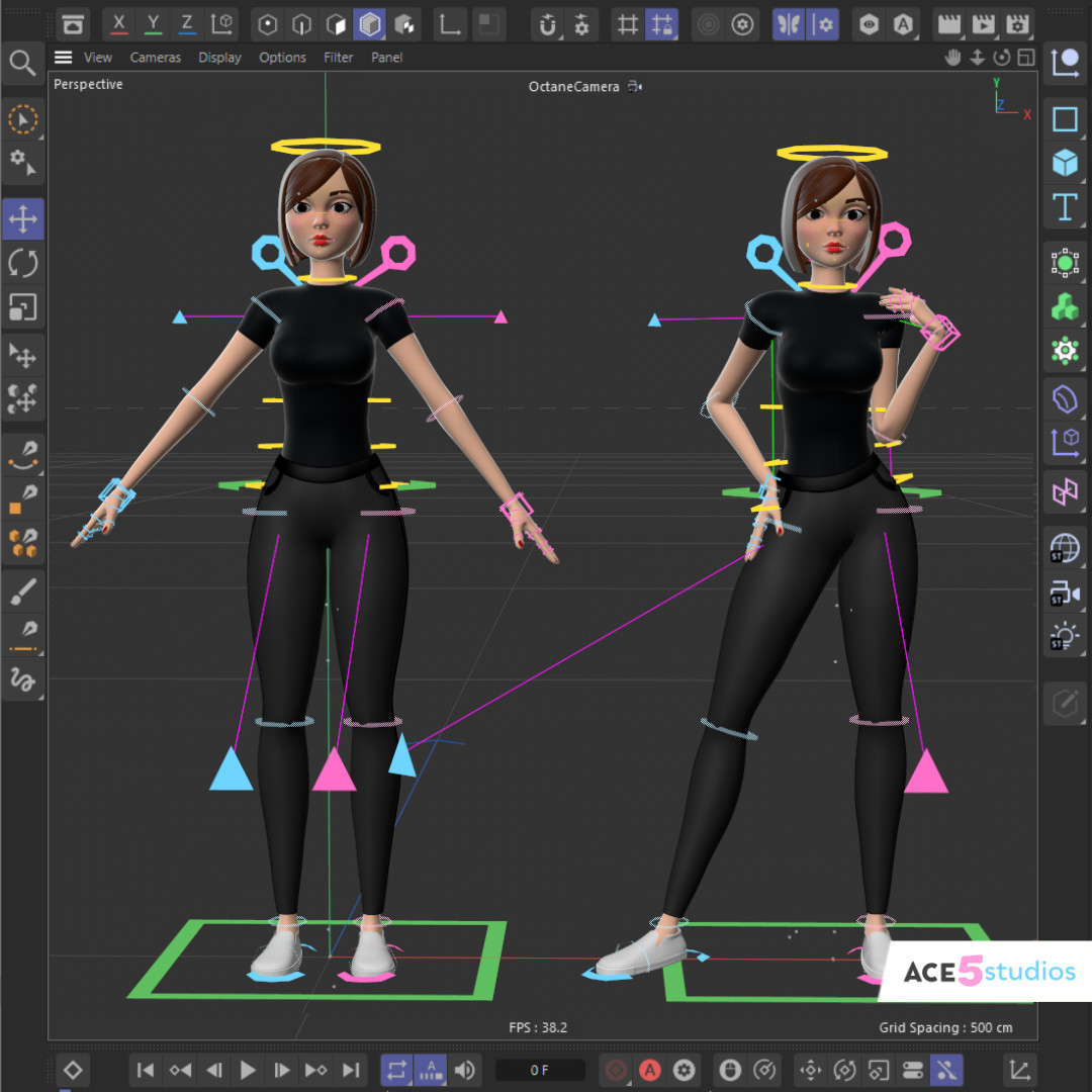 Cartoon stylized character in c4d. Rigged in cinema 4D. ready for animation in cinema4d. Royalty free download. 3d model. Face rig, facial animation. Female, woman, lady, black clothes.
